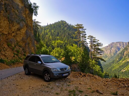 ATL to Downtown Atlanta: Top-Rated Chauffeur Services for German Executives