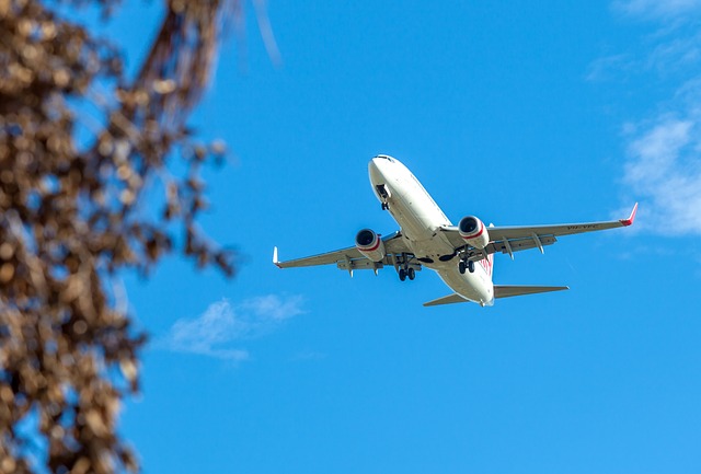 Flat Rate Chauffeur vs. Metered Rideshare: Which Saves Money from ATL to Buckhead?